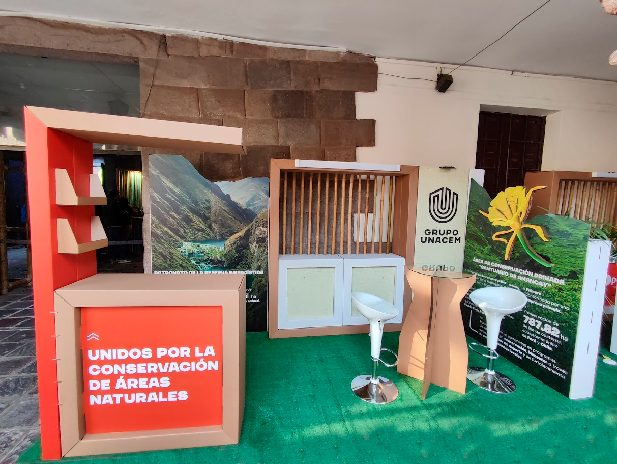 Stand ecológico con cartón y bambú para evento de conservación ambiental