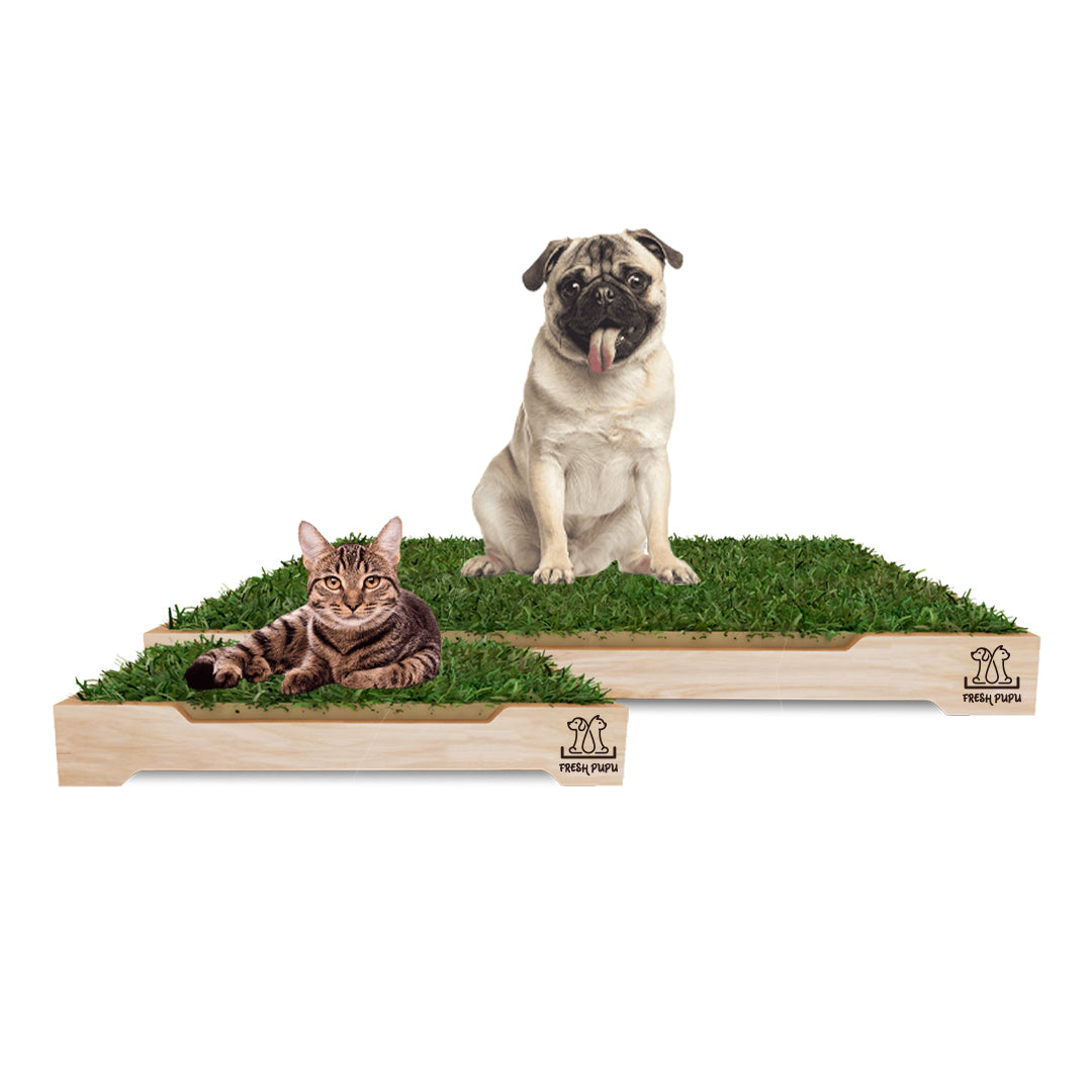 BAÑOS DE GRAS NATURAL PARA PERROS EN PERÚ - FRESH PUPU