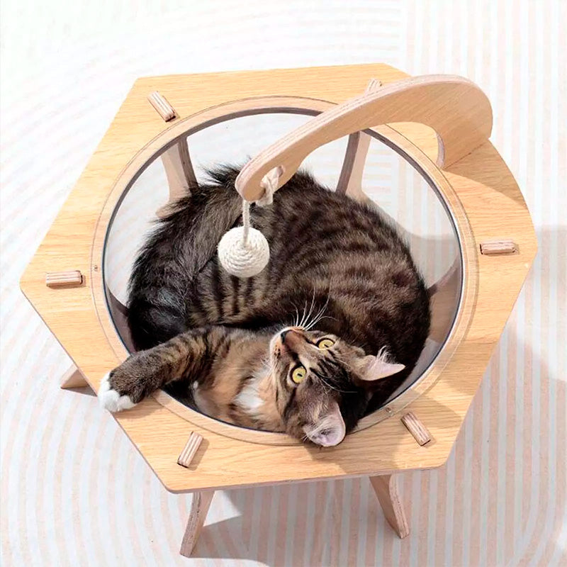 cama para gatos con madera y acrilico