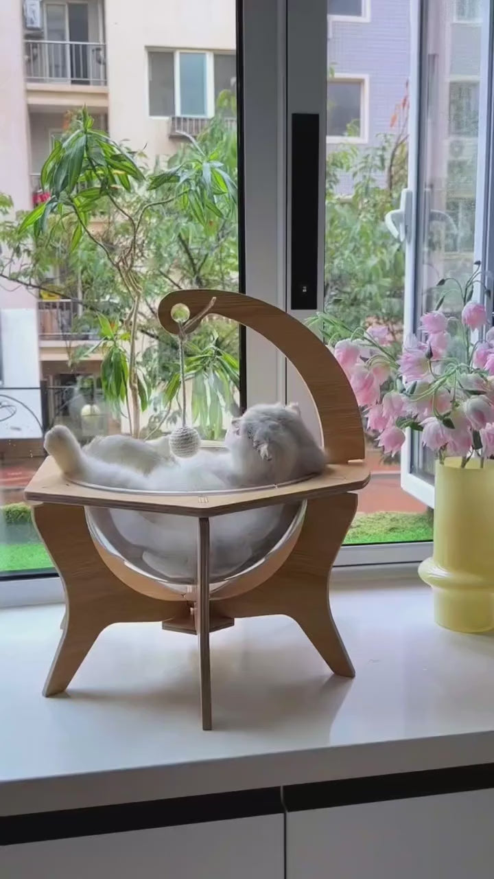 cama para gatos moderna