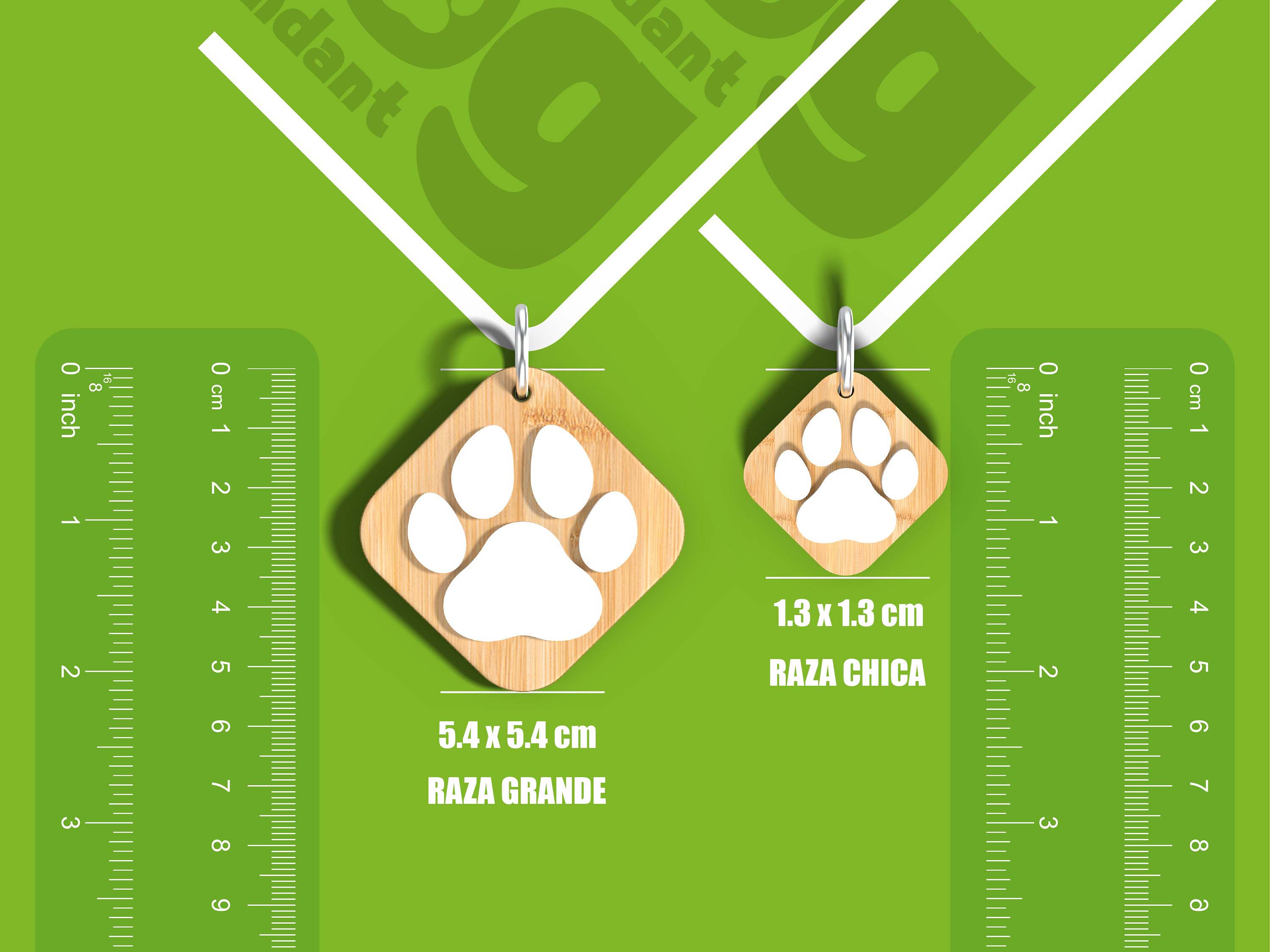 collar para perros