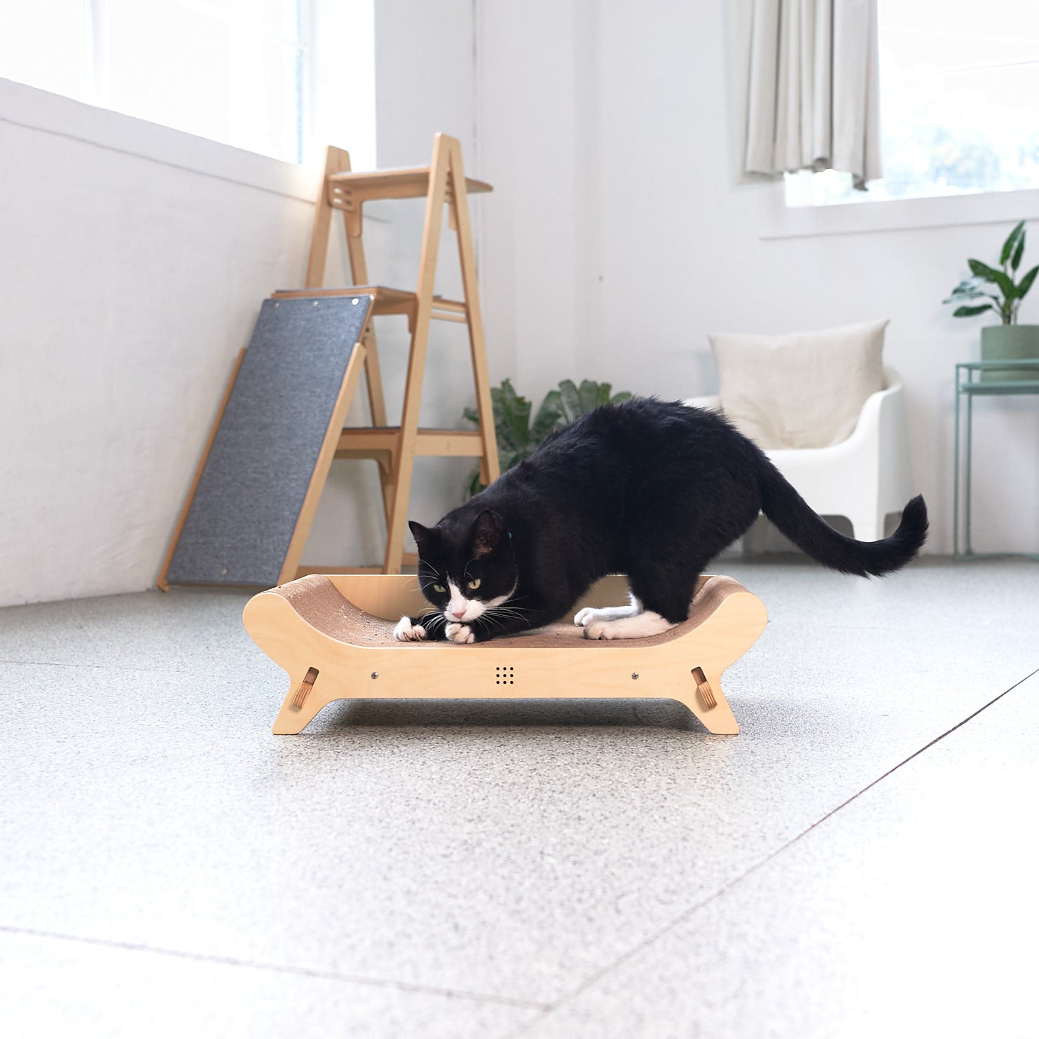 un rascador para gatos en casa