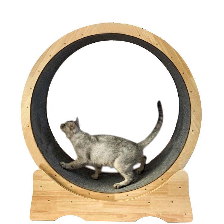 rueda para gatos