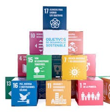 Cubos publicitarios de carton