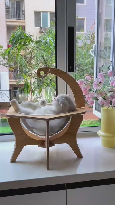 cama para gatos moderna