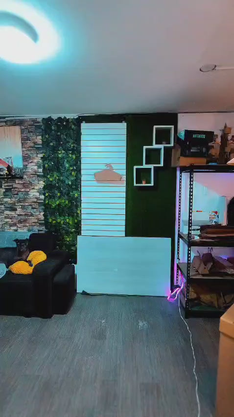 Cargar video: Tiendita de Cartón para niños - Modelo Tiendita