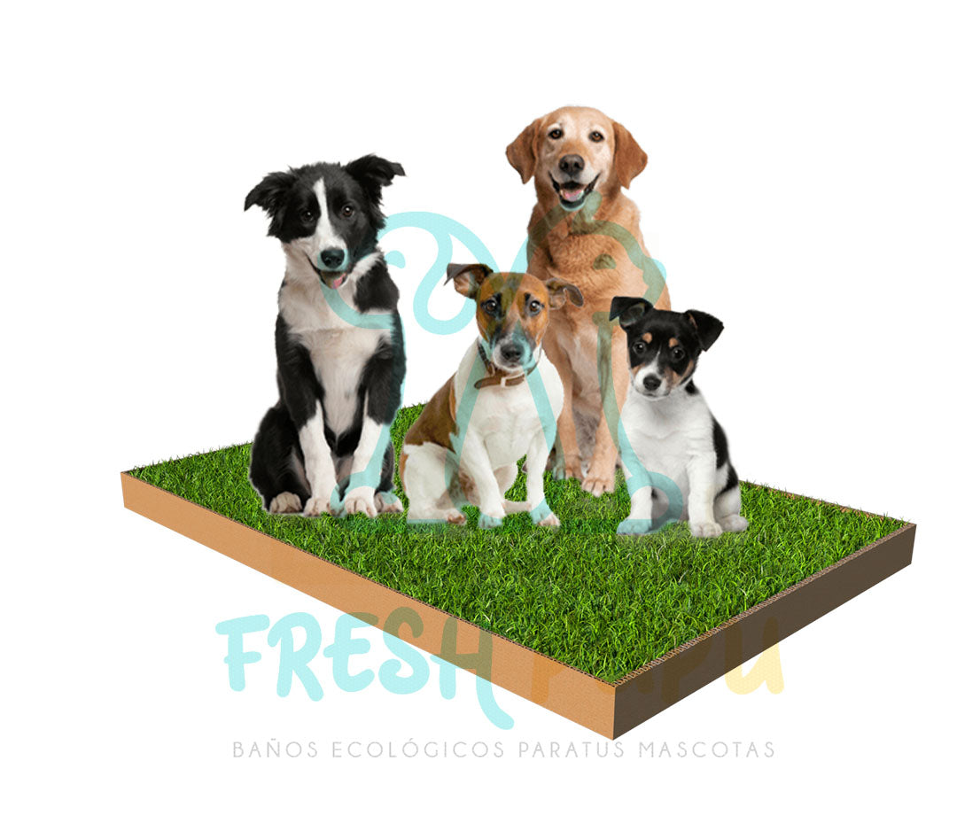 BAÑO DE GRAS PARA PERROS EXTRA GRANDE