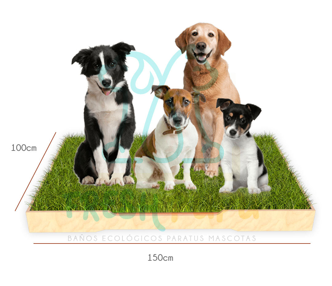 BAÑO DE GRAS PARA PERROS EXTRA GRANDE
