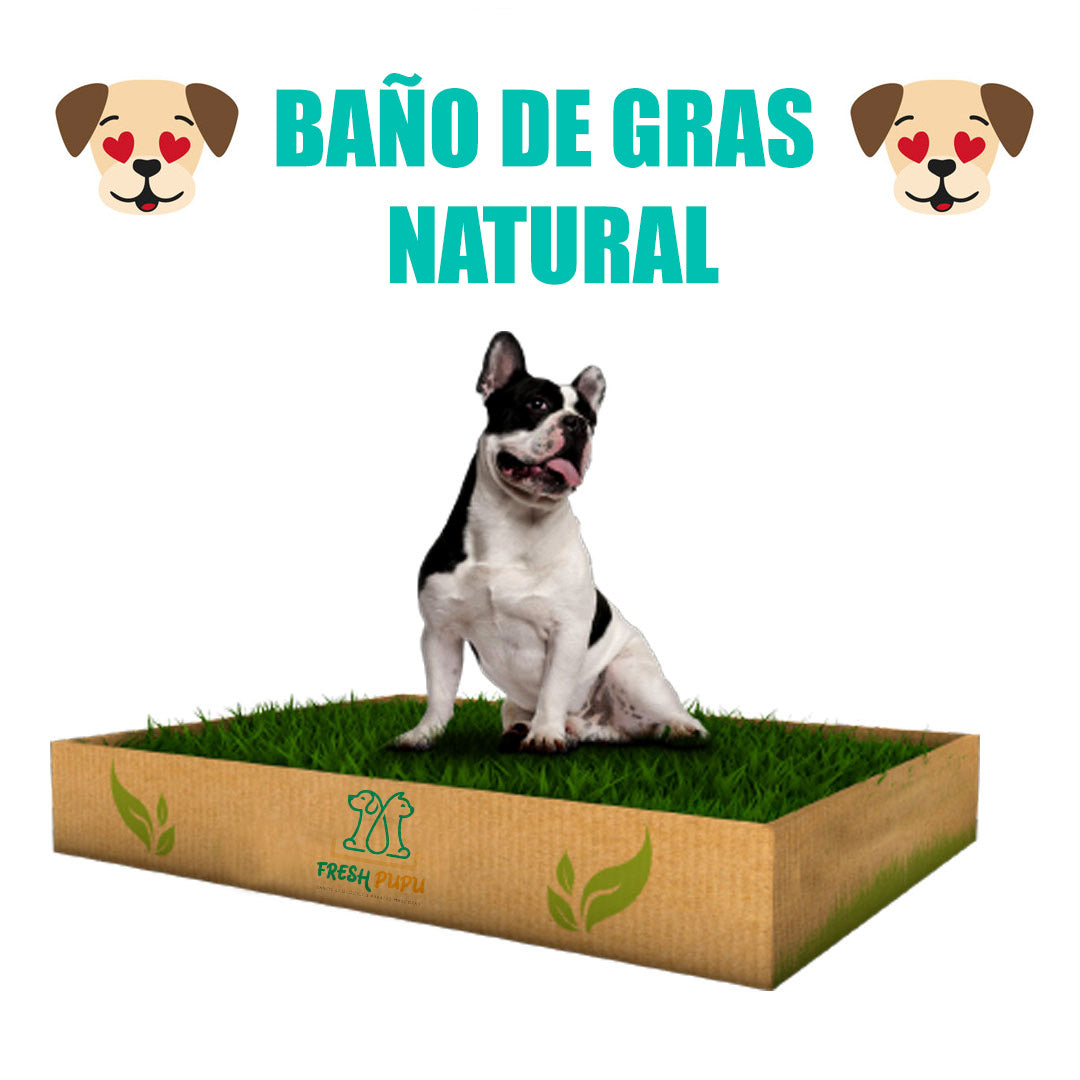 baño para perros de gras natural