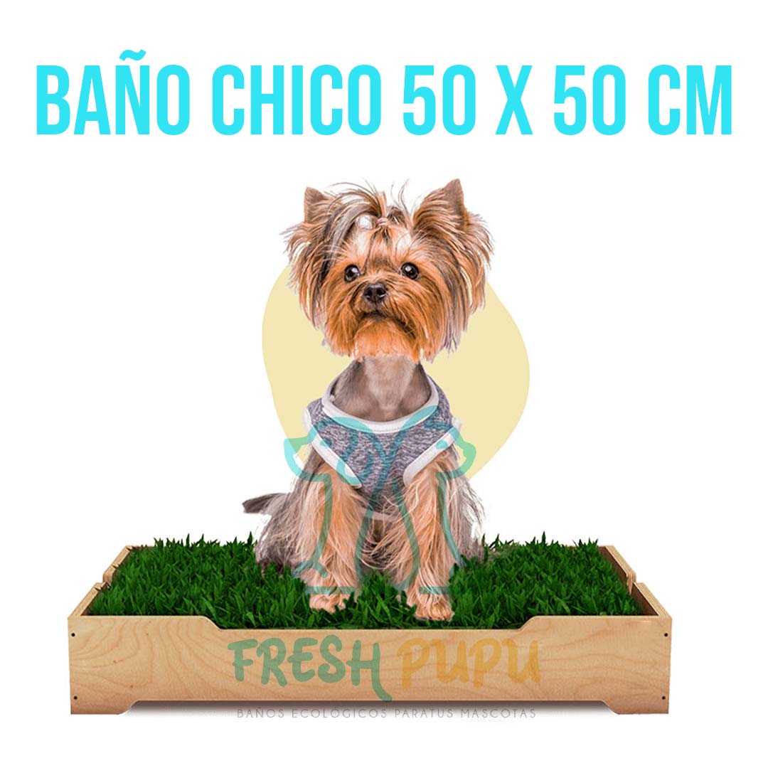 BAÑO DE GRAS NATURAL CHICO 50x50cm