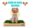 baño de gras para perros