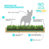 baños de gras natural para perros
